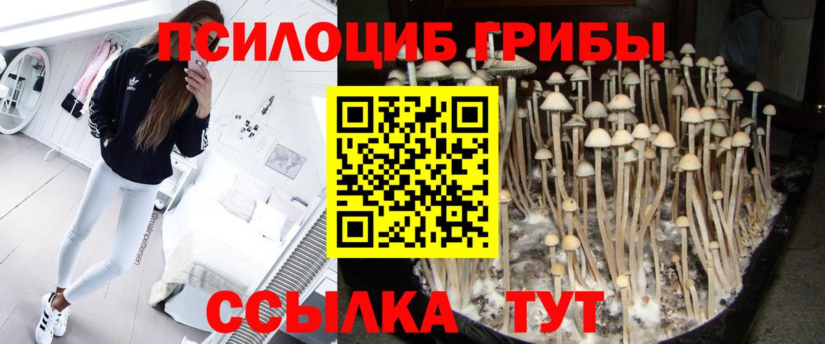 Галлюциногенные грибы мицелий Кувандык